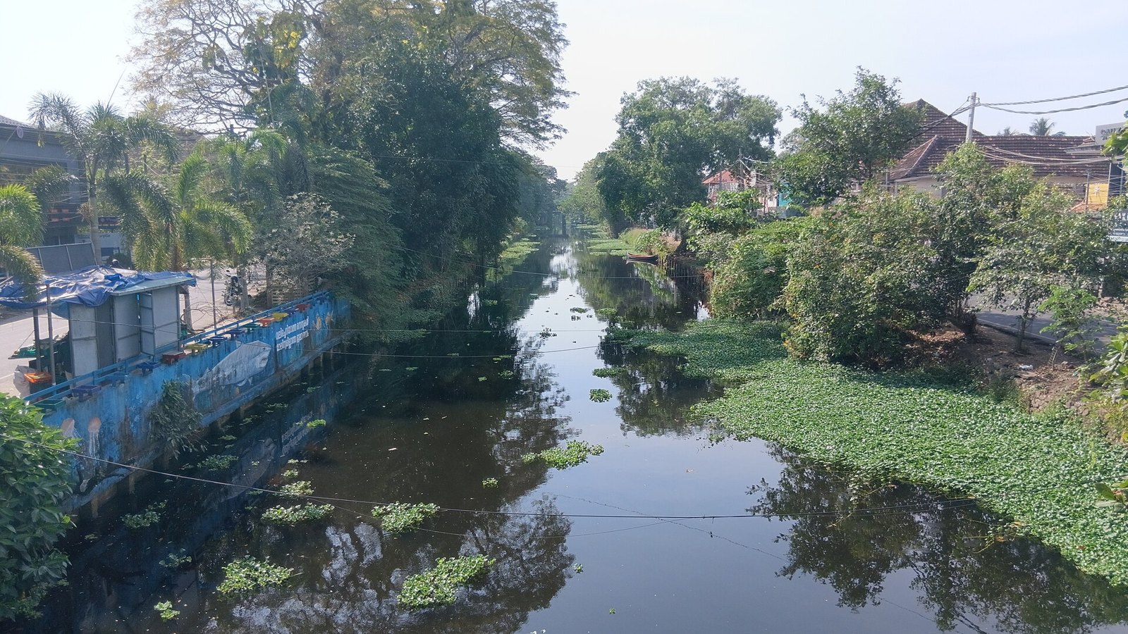 Керала: Alleppey canals