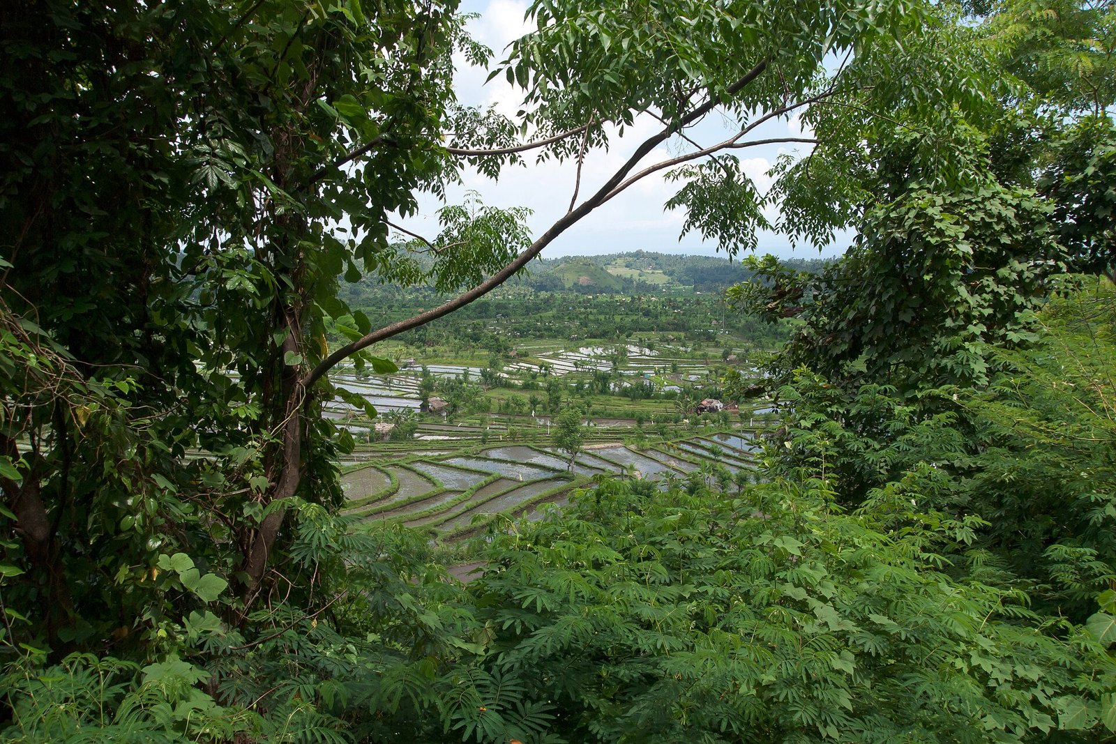 Бали: Landscape, Tirta Gangga, Bali