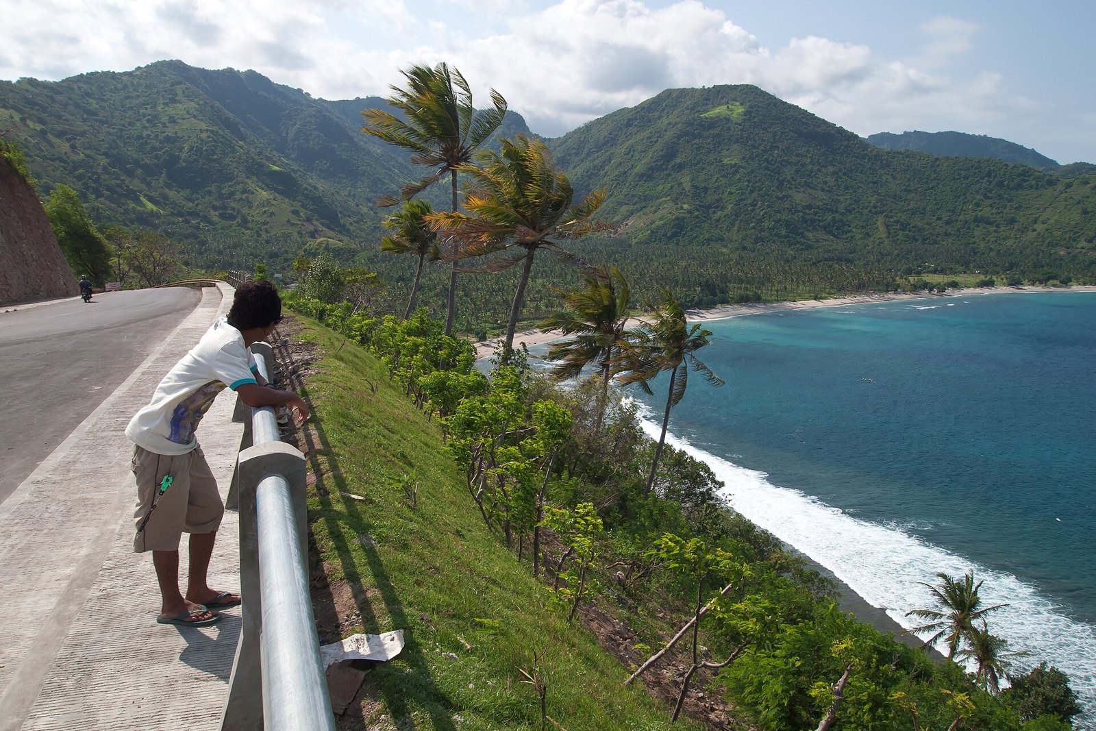 Ломбок: Lombok, Island beach in the bay, Palm trees, Indonesia