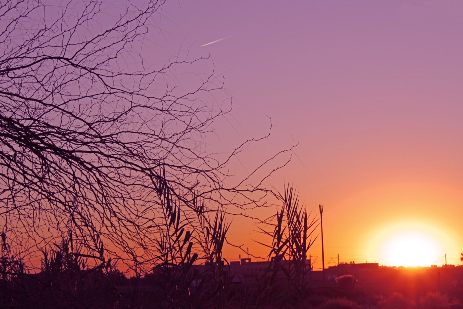 Марракеш: Marrakech sunset