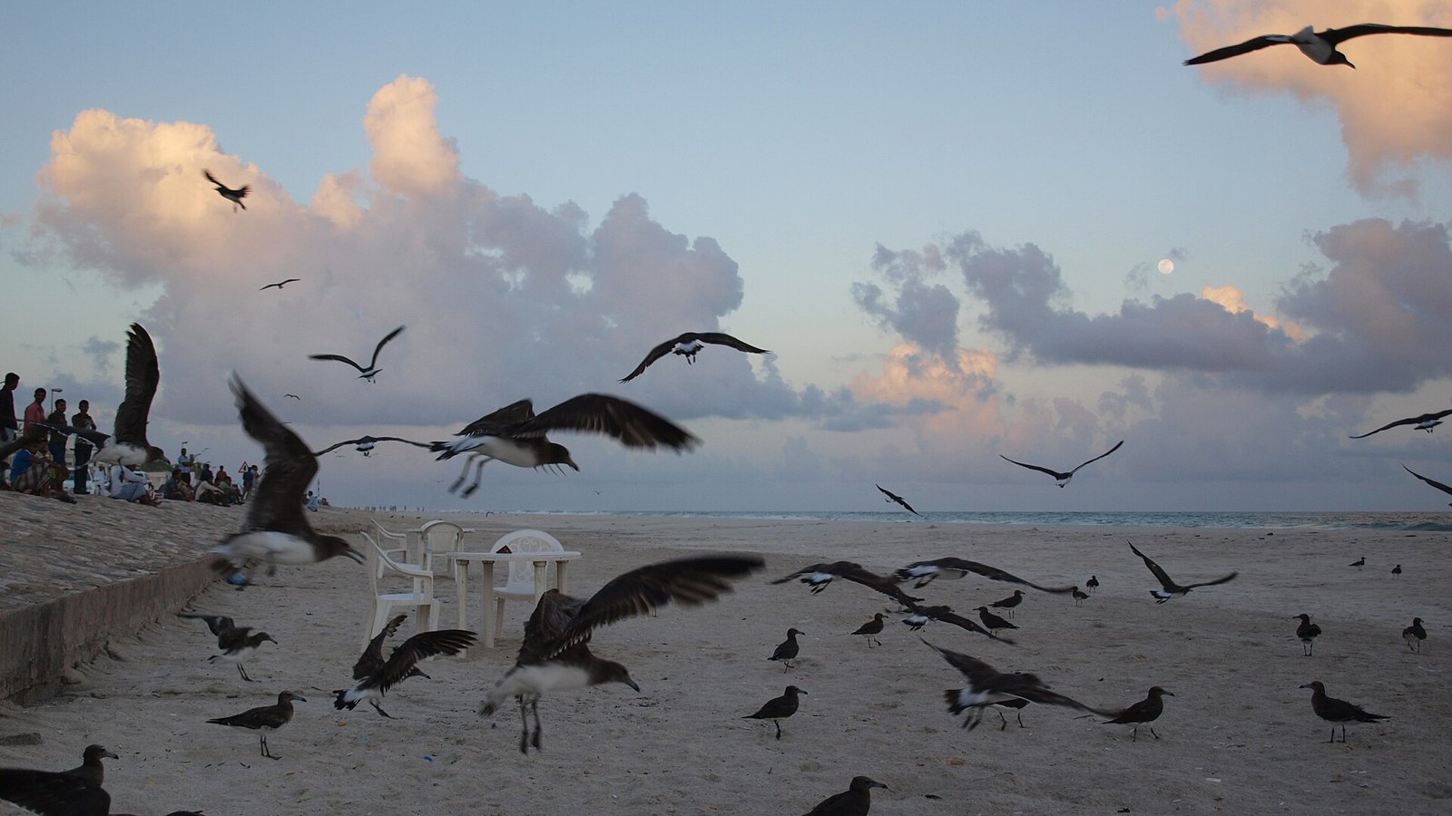 Салала: Salalah Beach