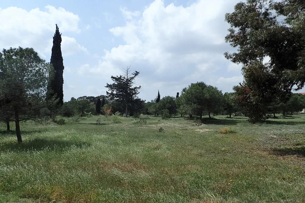 Ларнака: Patticheio Park in Larnaca kz03