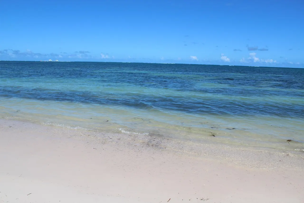 Пунта-Кана: Punta Cana Beach Cabeza De Toro 3