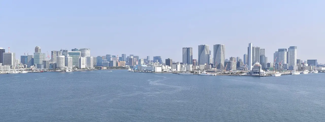 Токио: Tokyo Bay panorama (46863229212)
