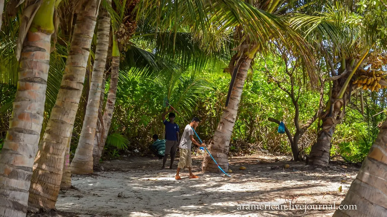 Тодду: Maldives, Thoddoo - panoramio (10)